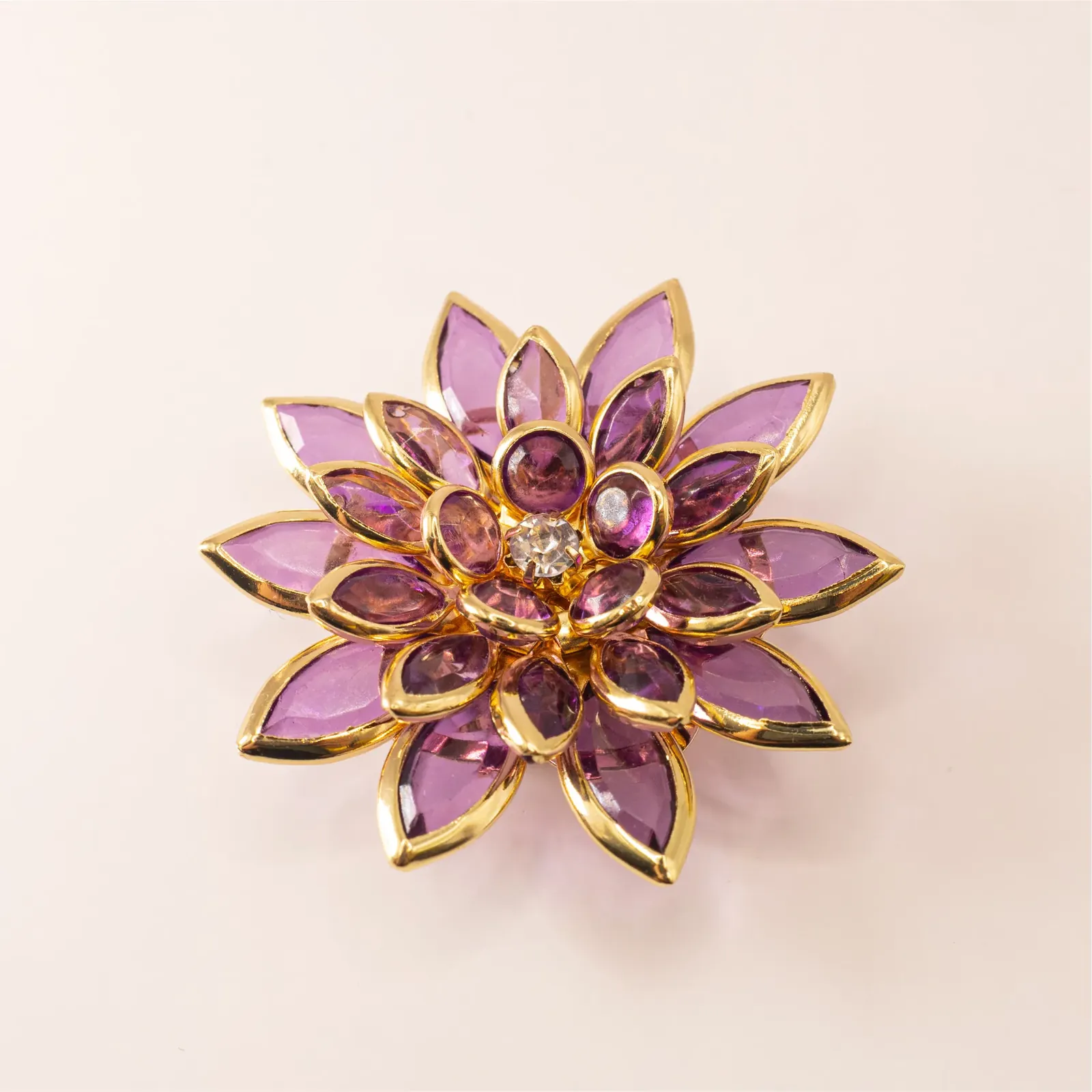 DAHLIA PURPLE – Obrázok 2